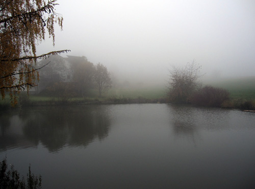 Tæt tåge ved søen...