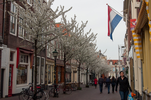 Smukke Delft...